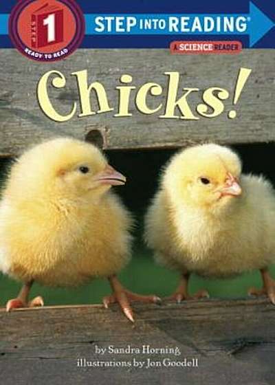 Chicks!, Paperback