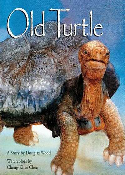 Old Turtle, Hardcover