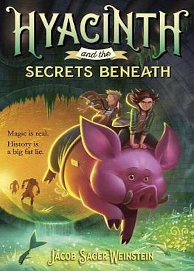 Hyacinth and the Secrets Beneath, Hardcover