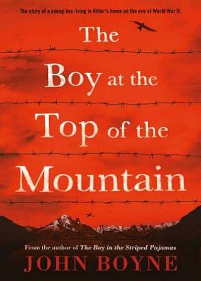 The Boy at the Top of the Mountain, Paperback