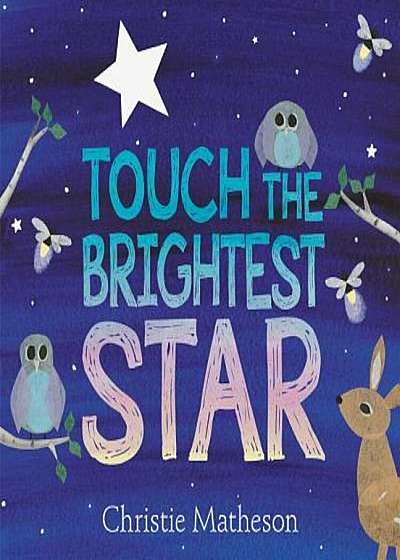 Touch the Brightest Star, Hardcover