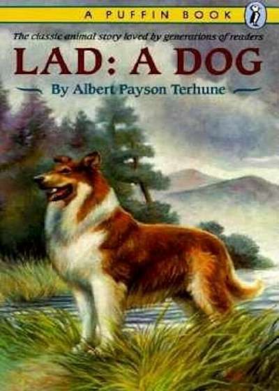 Coperta cărții Lad: A Dog, Paperback