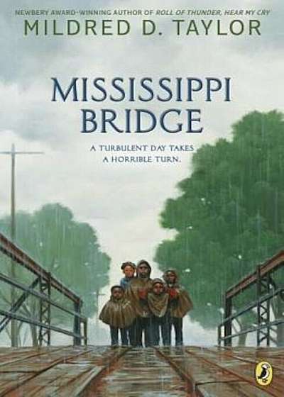 Mississippi Bridge, Paperback