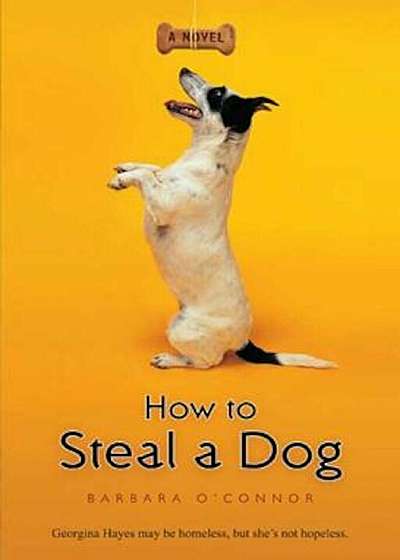 How to Steal a Dog, Paperback