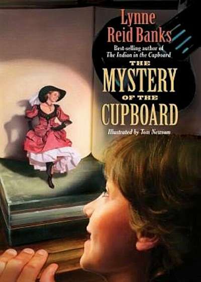 The Mystery of the Cupboard, Paperback