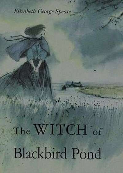 The Witch of Blackbird Pond, Hardcover