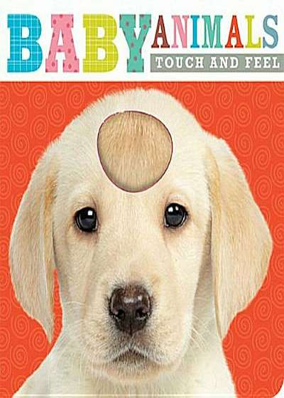 Touch and Feel Baby Animals, Hardcover
