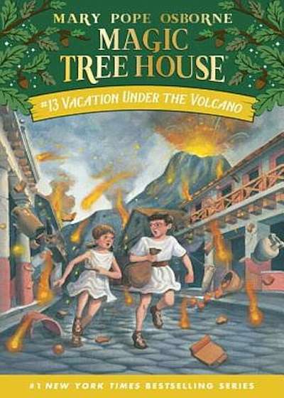 Vacation Under the Volcano, Paperback