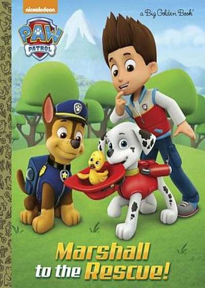 Marshall to the Rescue! (Paw Patrol), Hardcover