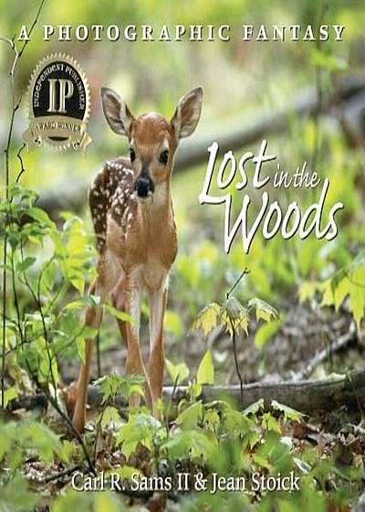 Lost in the Woods, Hardcover