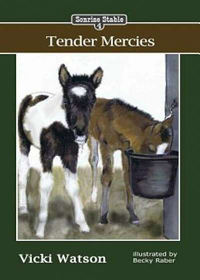 Sonrise Stable: Tender Mercies, Paperback