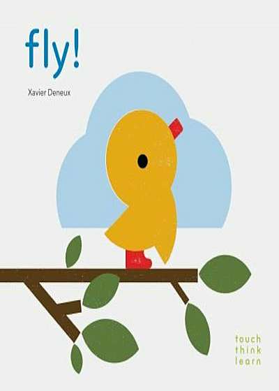 Touchthinklearn: Fly!, Hardcover