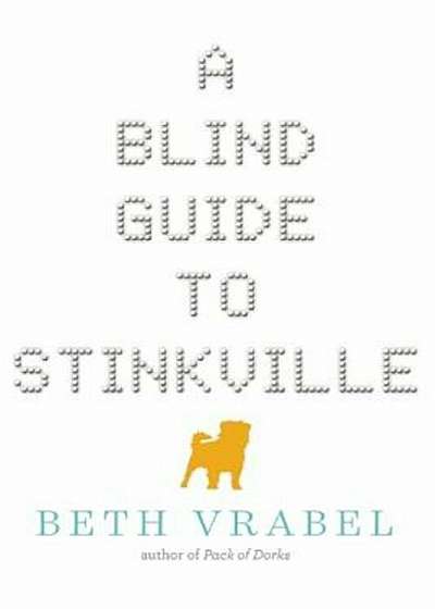 A Blind Guide to Stinkville, Paperback