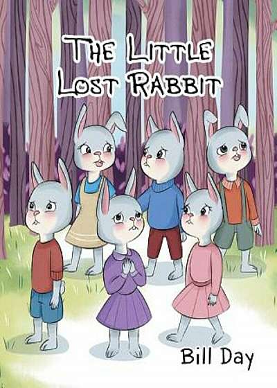 The Little Lost Rabbit, Paperback