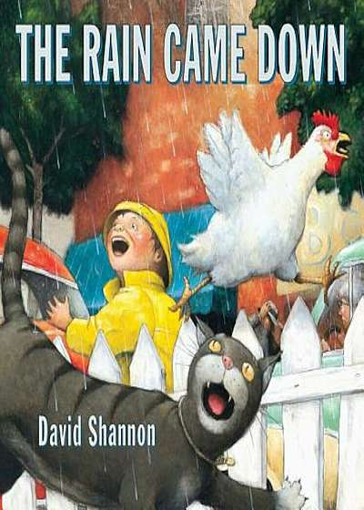 The Rain Came Down, Hardcover