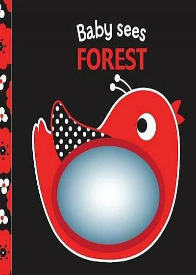 Forest: A Soft Book and Mirror for Baby!, Paperback
