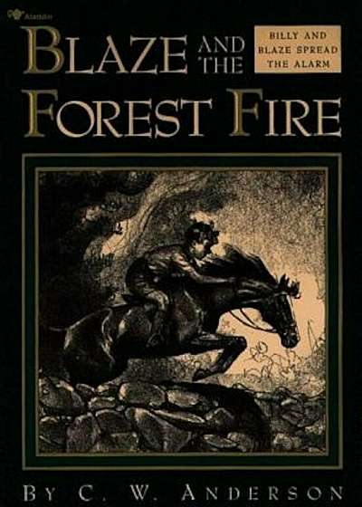 Blaze and the Forest Fire: Billy and Blaze Spread the Alarm, Paperback