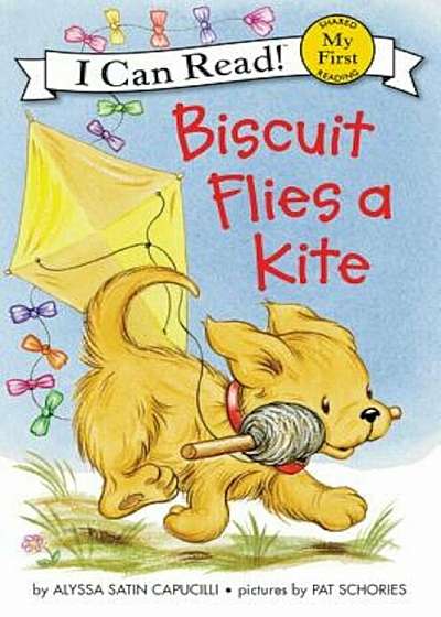Biscuit Flies a Kite, Hardcover