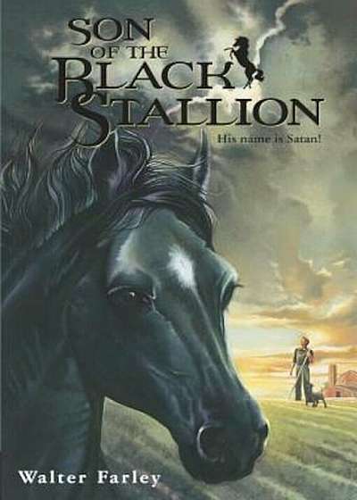 Son of the Black Stallion, Paperback