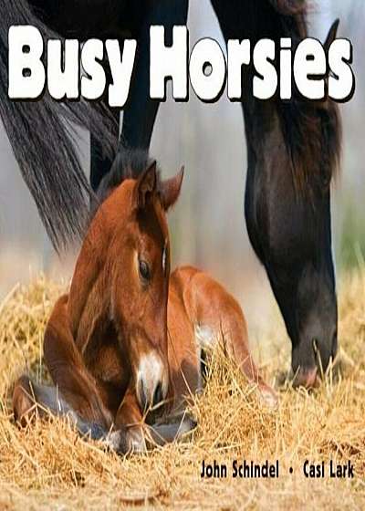 Busy Horsies, Hardcover
