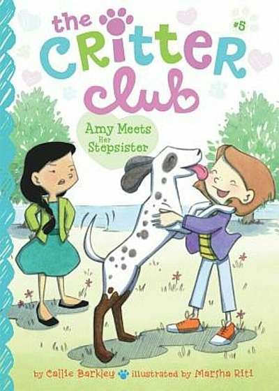Amy Meets Her Stepsister, Paperback
