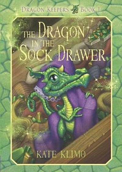 The Dragon in the Sock Drawer, Paperback