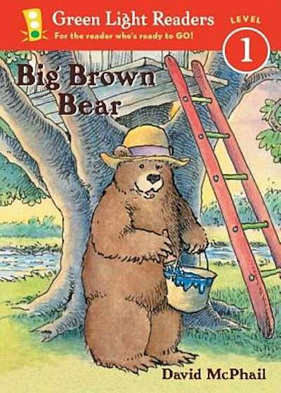Big Brown Bear, Paperback