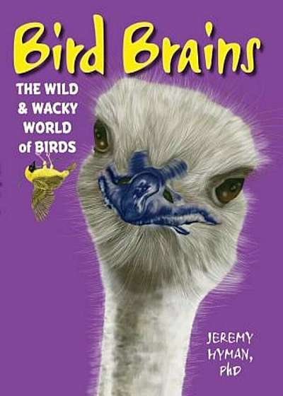 Bird Brains: The Wild & Wacky World of Birds, Hardcover