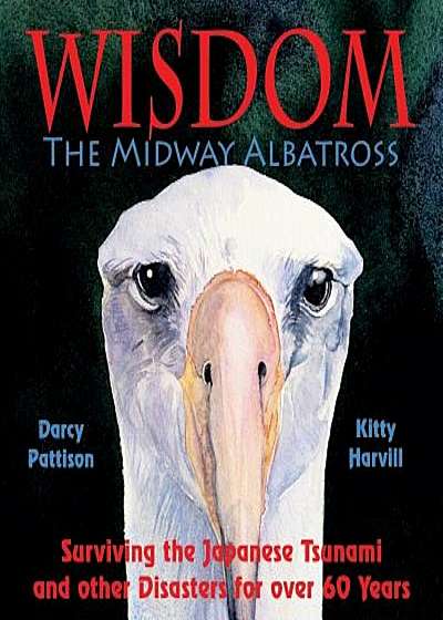 Wisdom, the Midway Albatross: Surviving the Japanese Tsunami and Other Disasters for Over 60 Years, Paperback