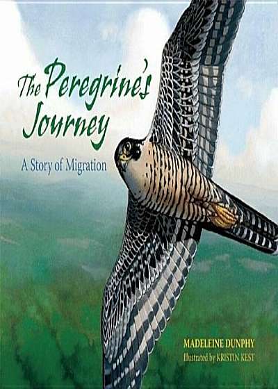 The Peregrine's Journey: A Story of Migration, Paperback