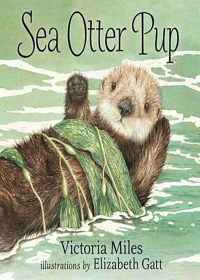 Sea Otter Pup, Paperback
