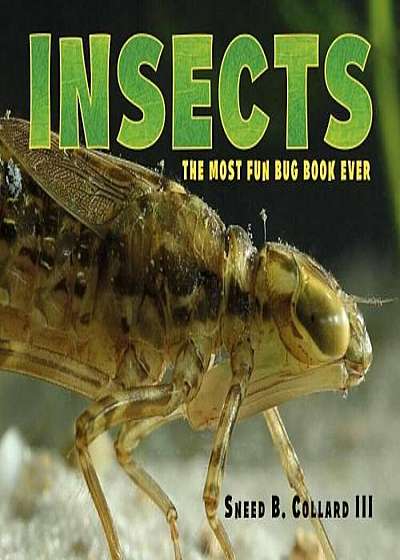 Insects: The Most Fun Bug Book Ever, Hardcover
