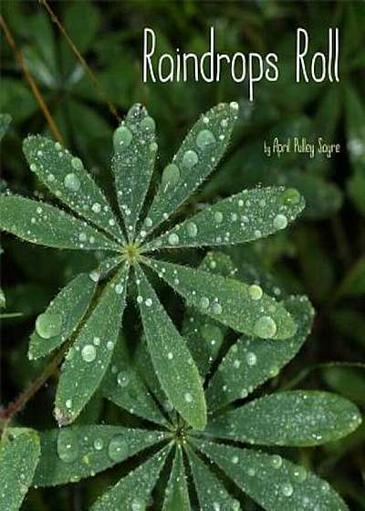 Raindrops Roll, Hardcover