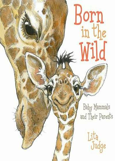 Born in the Wild: Baby Mammals and Their Parents, Hardcover