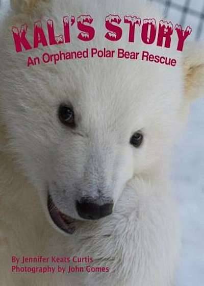 Kali's Story: An Orphaned Polar Bear Rescue, Paperback