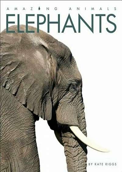 Elephants, Paperback