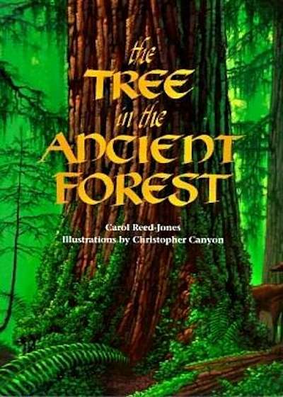 The Tree in the Ancient Forest, Paperback
