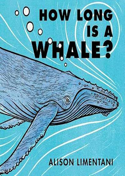 How Long Is a Whale', Hardcover