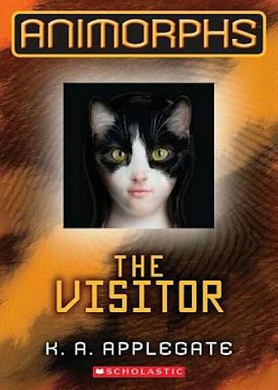 The Visitor, Paperback