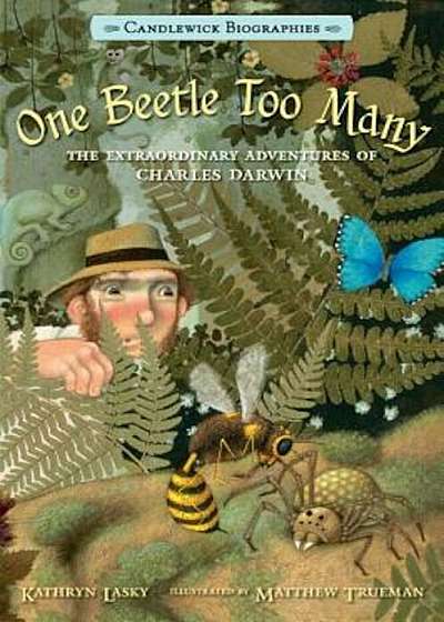 One Beetle Too Many: The Extraordinary Adventures of Charles Darwin, Paperback