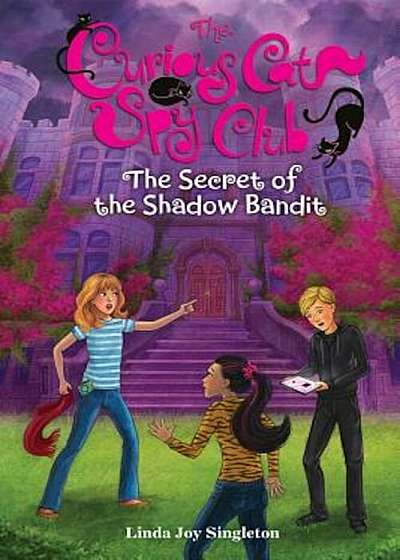 The Secret of the Shadow Bandit, Hardcover