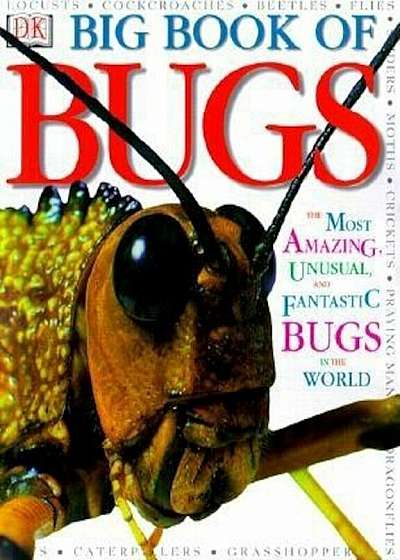 Big Book of Bugs, Hardcover