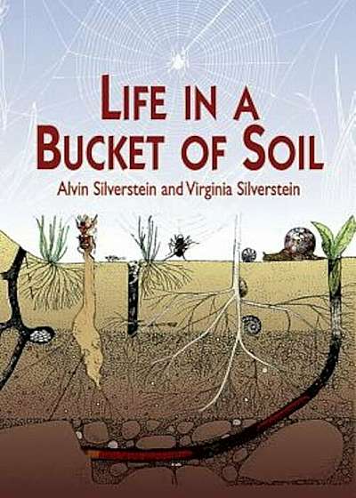 Life in a Bucket of Soil, Paperback