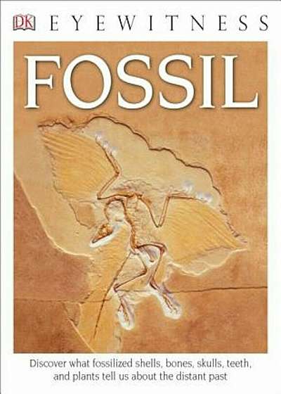 DK Eyewitness Books: Fossil, Paperback