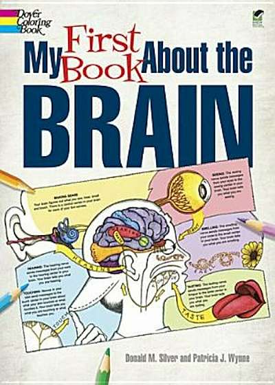 My First Book about the Brain, Paperback