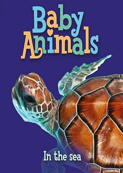Baby Animals: In the Sea, Hardcover