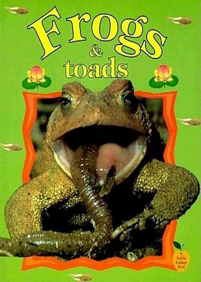 Frogs & Toads, Paperback