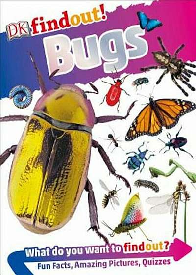 DK Findout! Bugs, Paperback