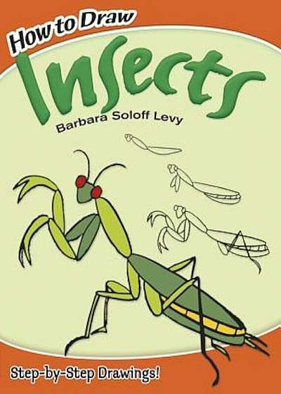 How to Draw Insects, Paperback