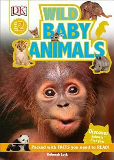 Wild Baby Animals, Paperback